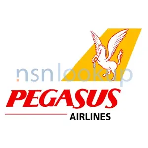CAGE 003D9 Pegasus Air