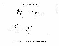 TM-9-2320-209-10-1 Page 500