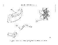 TM-9-2320-209-10-1 Page 518
