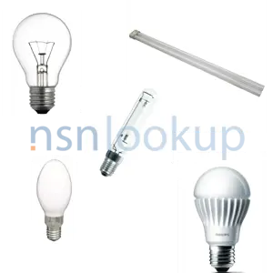 INC 00727 Incandescent Lamp