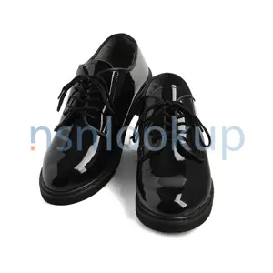 FSC 8435 Footwear, Women's