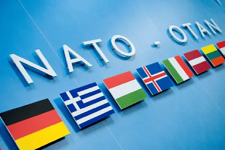NATO NSN Search